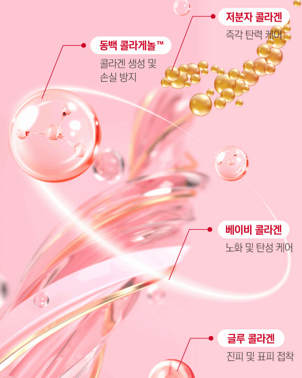 Солнцезащитная сыворотка с экстрактом камелии и коллагеном Round Lab Camellia Deep Collagen Firming Sun Serum SPF 50+ PA++++ — изображение 4