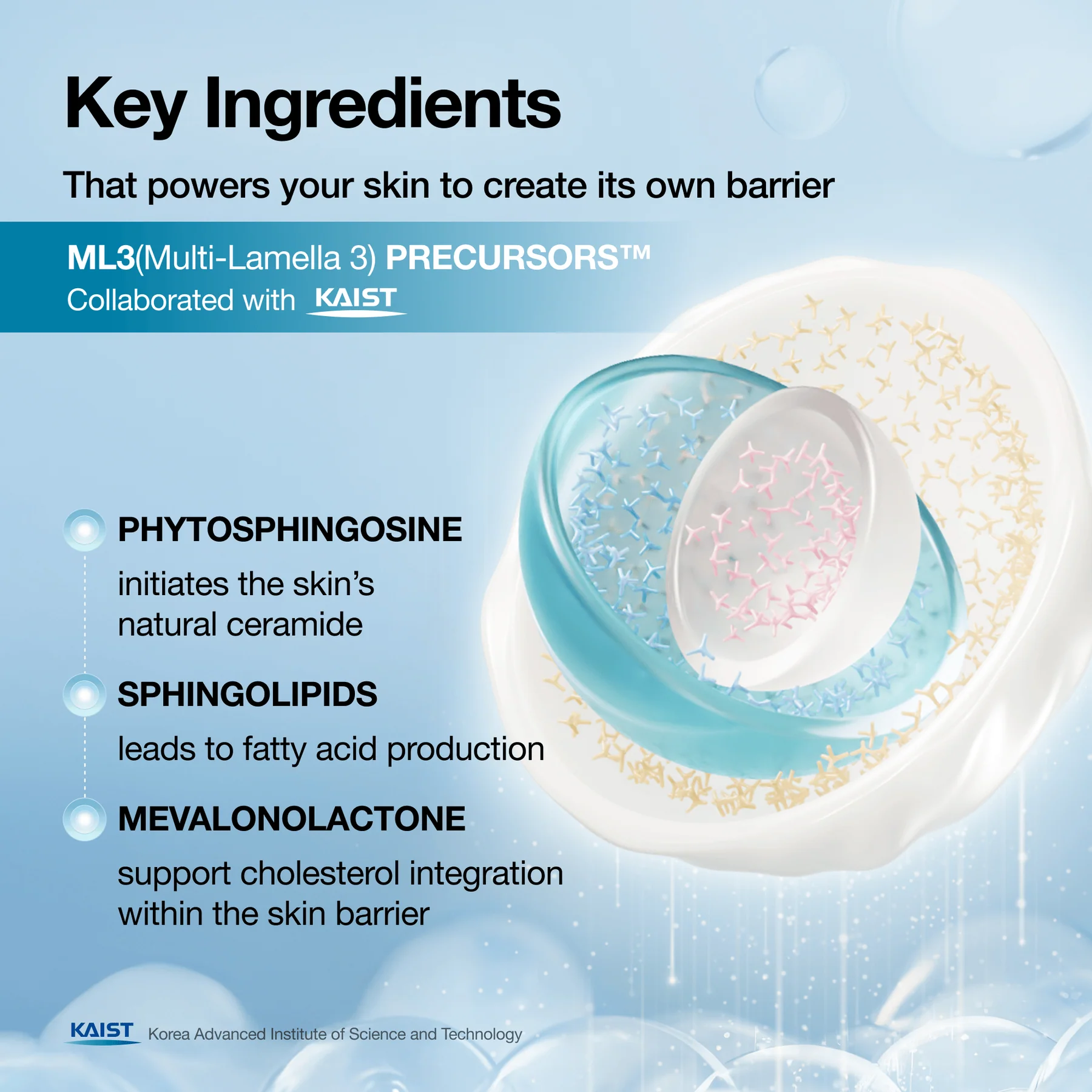 Интенсивный восстанавливающий крем Anua Barrier Reboot Intensive Cream 100 ml — изображение 3